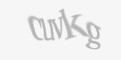 Güvenlik kodu