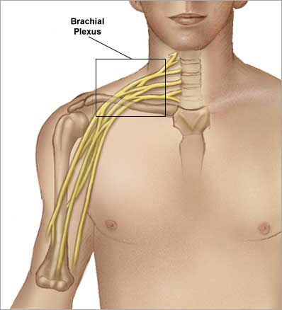 brakialpreksus