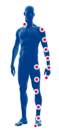 Yeni Vücut Bölgeler